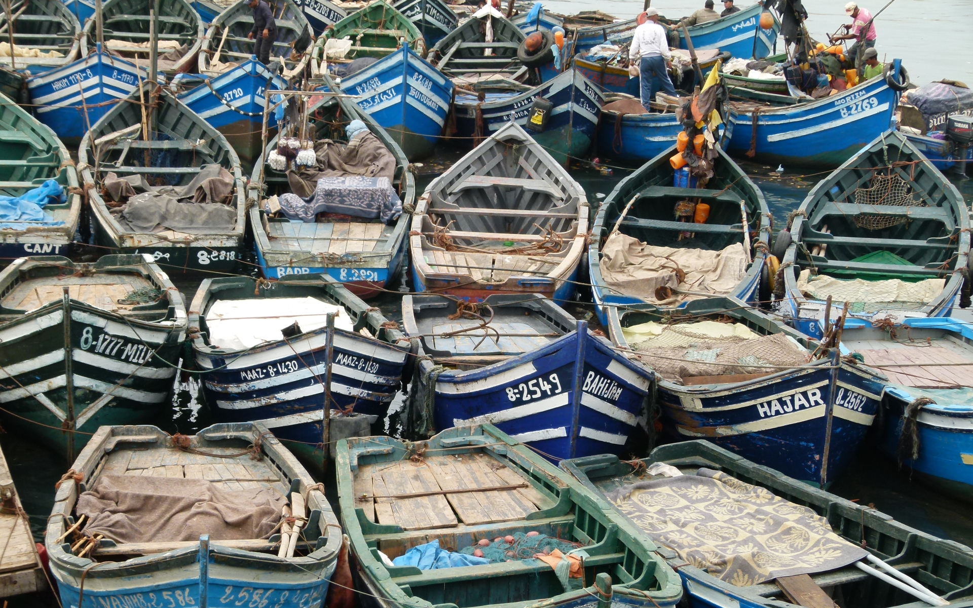 Sardine Fisher Boats